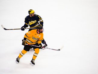 Hockeyfans illustration